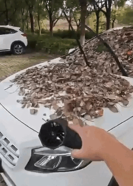 leafy text-gif-3