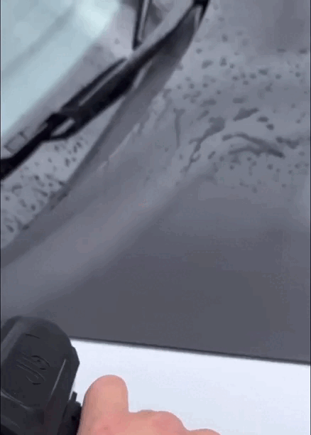 leafy text-gif-5