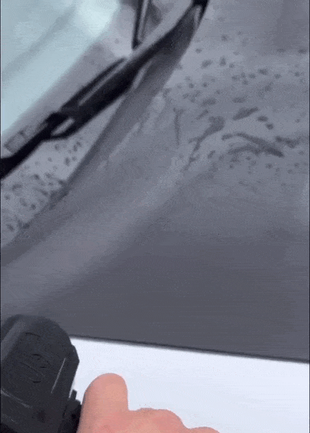 leafy text-gif-5