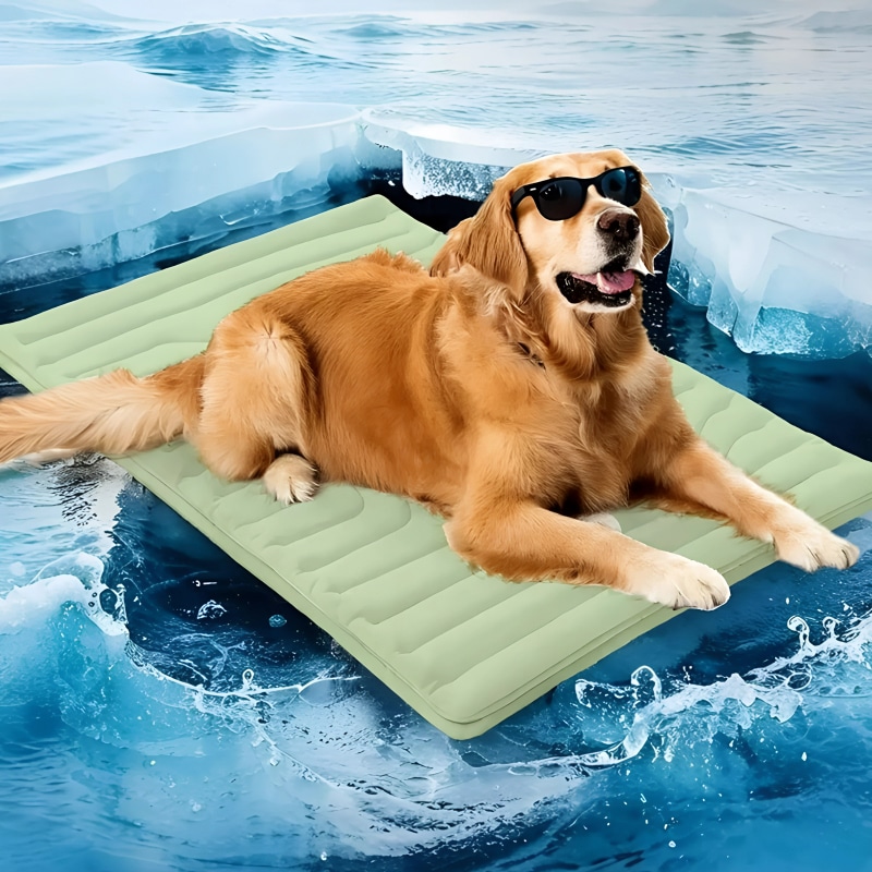 Content relaxed dog resting peacefully after using cooling mat showing visible comfort and relief